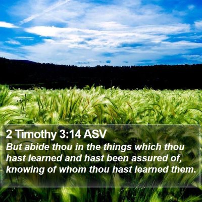 2 Timothy 3:14 ASV Bible Verse Image