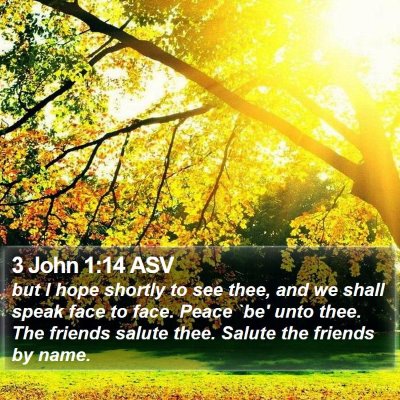 3 John 1:14 ASV Bible Verse Image