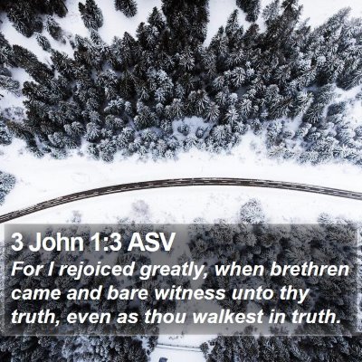 3 John 1:3 ASV Bible Verse Image