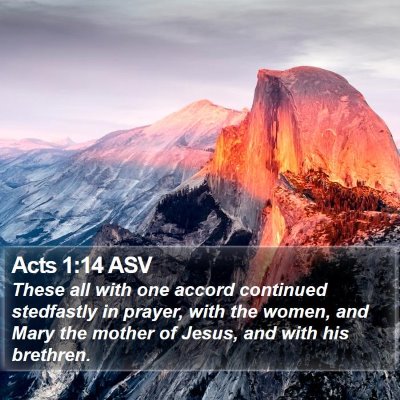 Acts 1:14 ASV Bible Verse Image