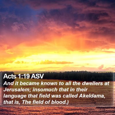 Acts 1:19 ASV Bible Verse Image
