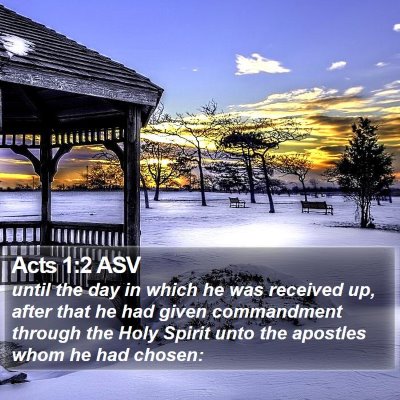 Acts 1:2 ASV Bible Verse Image