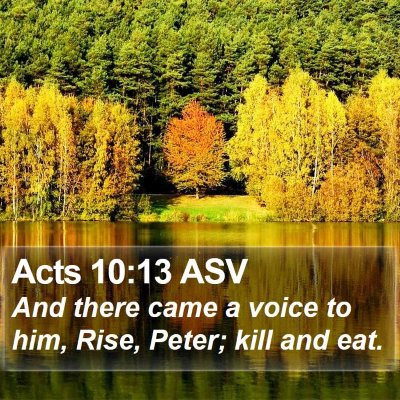 Acts 10:13 ASV Bible Verse Image