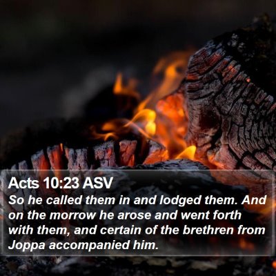 Acts 10:23 ASV Bible Verse Image