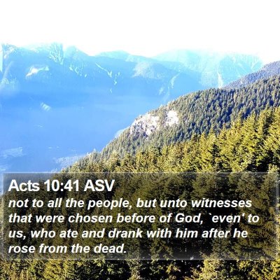 Acts 10:41 ASV Bible Verse Image