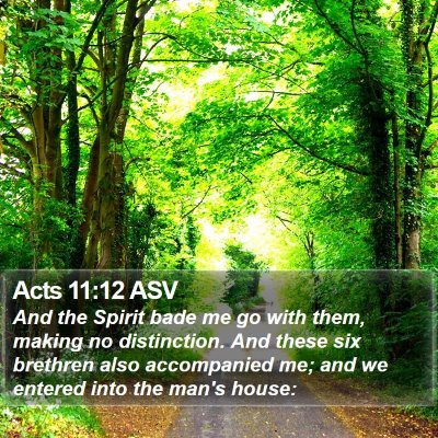 Acts 11:12 ASV Bible Verse Image