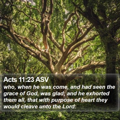 Acts 11:23 ASV Bible Verse Image
