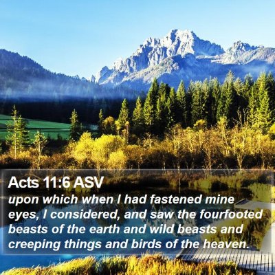 Acts 11:6 ASV Bible Verse Image