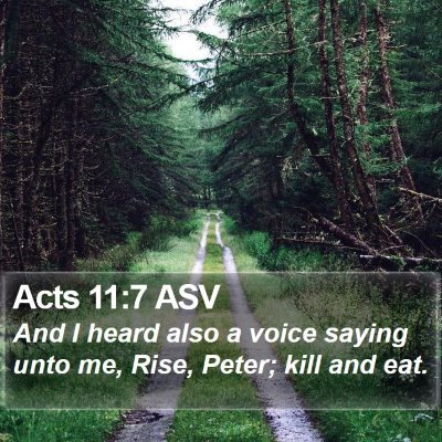 Acts 11:7 ASV Bible Verse Image