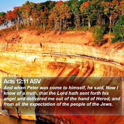 Acts 12:11 ASV Bible Verse Image