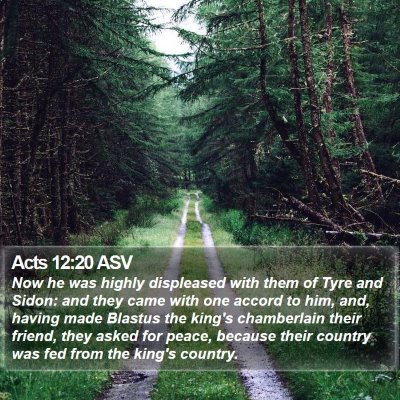 Acts 12:20 ASV Bible Verse Image