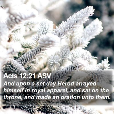 Acts 12:21 ASV Bible Verse Image