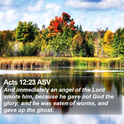 Acts 12:23 ASV Bible Verse Image