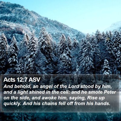 Acts 12:7 ASV Bible Verse Image