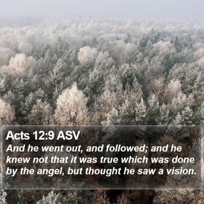 Acts 12:9 ASV Bible Verse Image