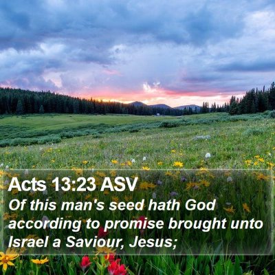 Acts 13:23 ASV Bible Verse Image
