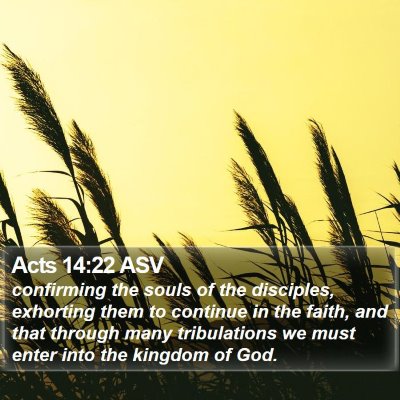 Acts 14:22 ASV Bible Verse Image