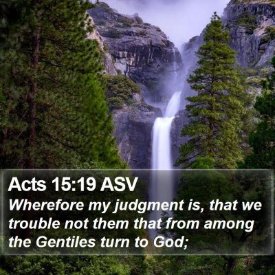 Acts 15:19 ASV Bible Verse Image