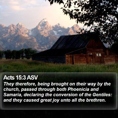 Acts 15:3 ASV Bible Verse Image