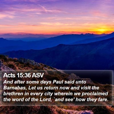 Acts 15:36 ASV Bible Verse Image