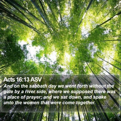 Acts 16:13 ASV Bible Verse Image