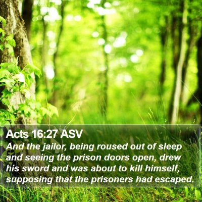 Acts 16:27 ASV Bible Verse Image