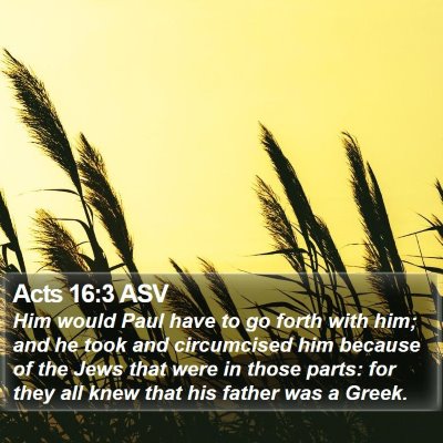 Acts 16:3 ASV Bible Verse Image