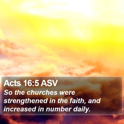 Acts 16:5 ASV Bible Verse Image
