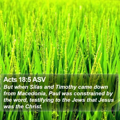 Acts 18:5 ASV Bible Verse Image