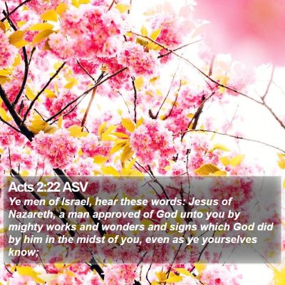Acts 2:22 ASV Bible Verse Image