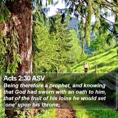 Acts 2:30 ASV Bible Verse Image