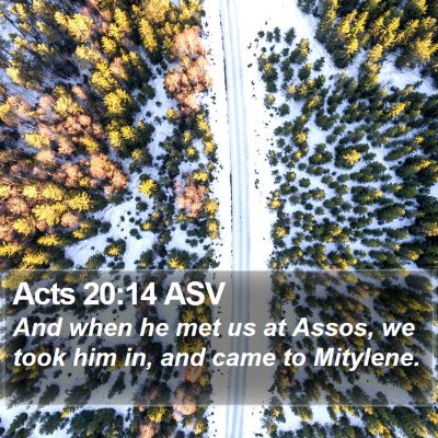 Acts 20:14 ASV Bible Verse Image