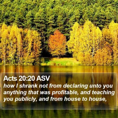 Acts 20:20 ASV Bible Verse Image