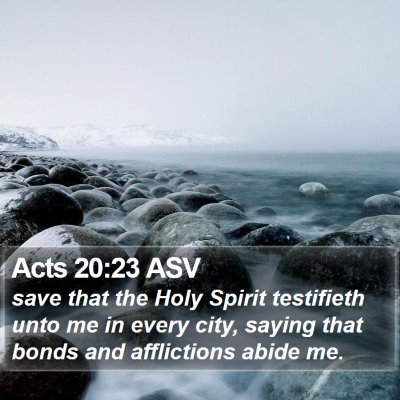 Acts 20:23 ASV Bible Verse Image