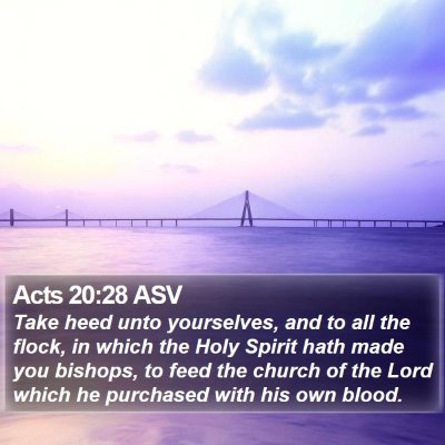 Acts 20:28 ASV Bible Verse Image