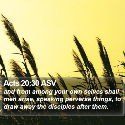 Acts 20:30 ASV Bible Verse Image