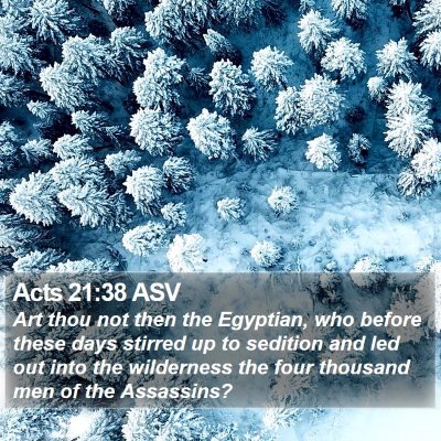 Acts 21:38 ASV Bible Verse Image
