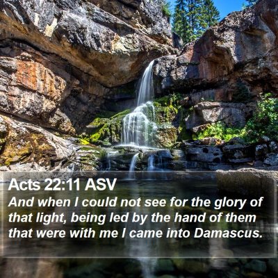 Acts 22:11 ASV Bible Verse Image