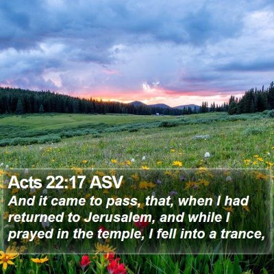 Acts 22:17 ASV Bible Verse Image