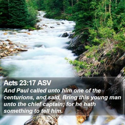 Acts 23:17 ASV Bible Verse Image