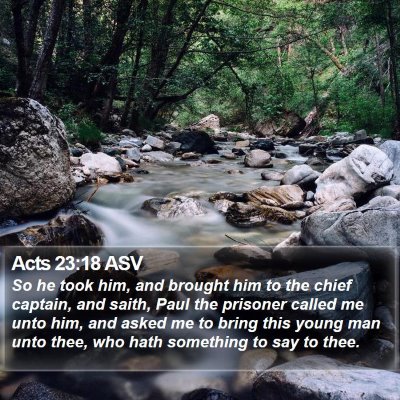Acts 23:18 ASV Bible Verse Image