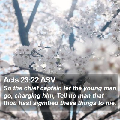 Acts 23:22 ASV Bible Verse Image
