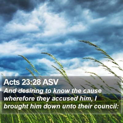 Acts 23:28 ASV Bible Verse Image