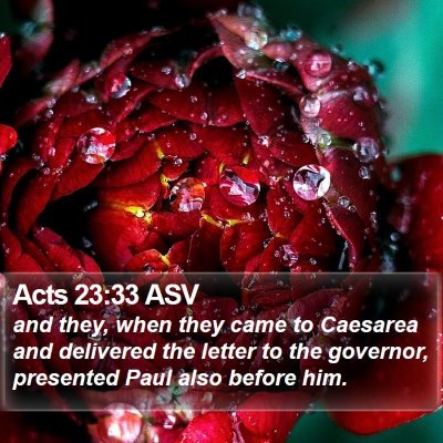 Acts 23:33 ASV Bible Verse Image