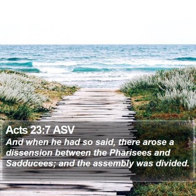 Acts 23:7 ASV Bible Verse Image