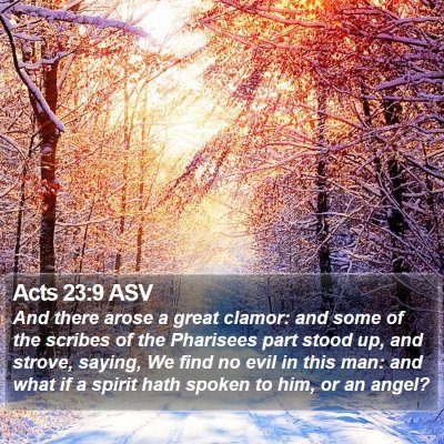 Acts 23:9 ASV Bible Verse Image