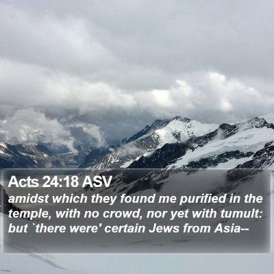 Acts 24:18 ASV Bible Verse Image