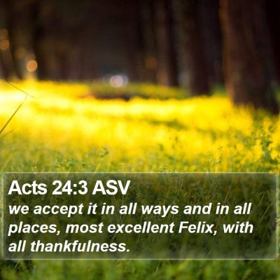 Acts 24:3 ASV Bible Verse Image
