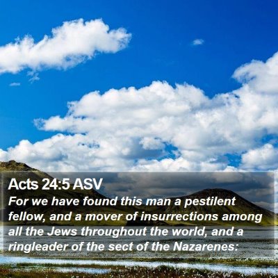Acts 24:5 ASV Bible Verse Image
