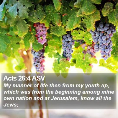 Acts 26:4 ASV Bible Verse Image